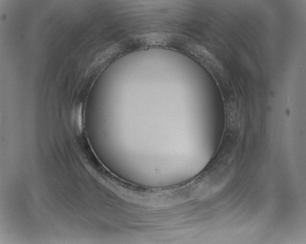 X0000068270028200604211122