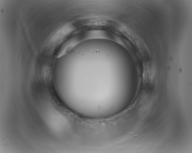 X0000068270029200604211122