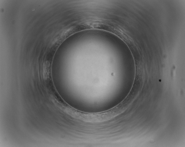 X0000068270030200604211122