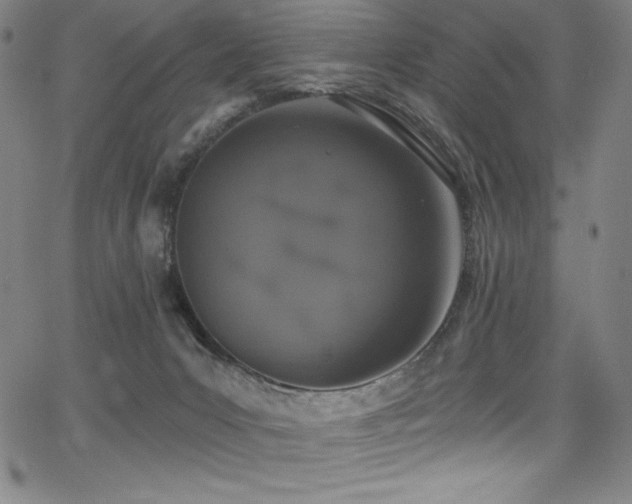 X0000068270031200604211122