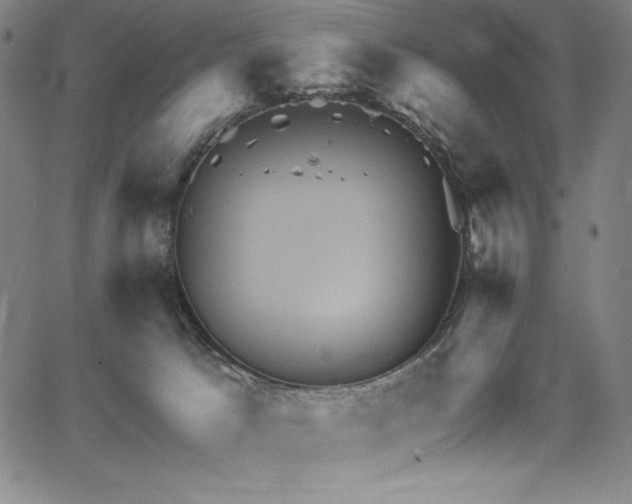 X0000068270033200604211121