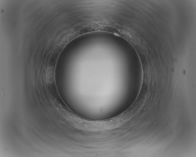 X0000068270034200604211121