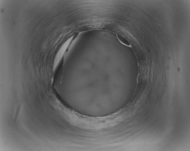 X0000068270035200604211121