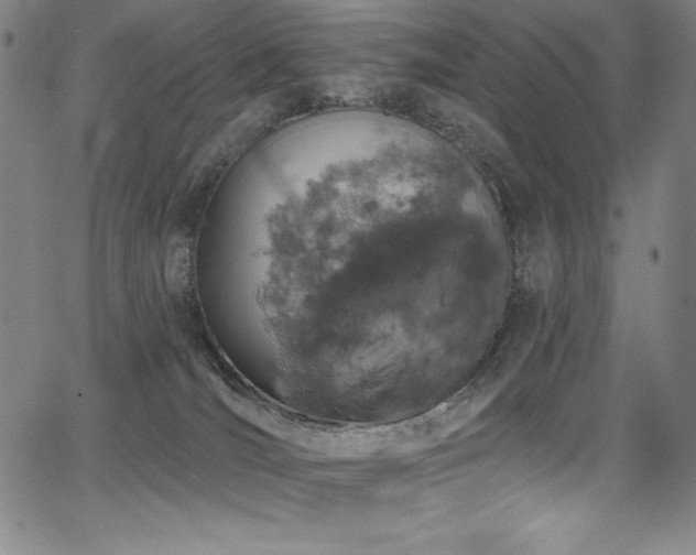 X0000068270036200604211121