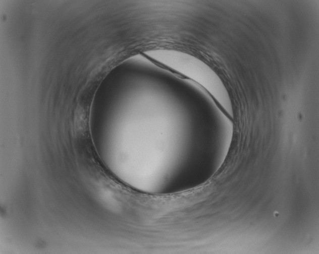 X0000068270037200604211121