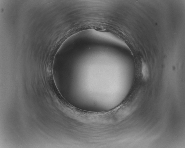 X0000068270040200604211121