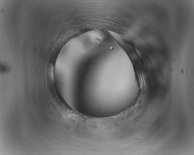 X0000068270041200604211121