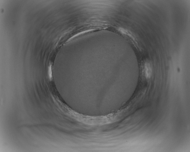 X0000068270042200604211121