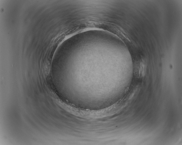 X0000068270043200604211121