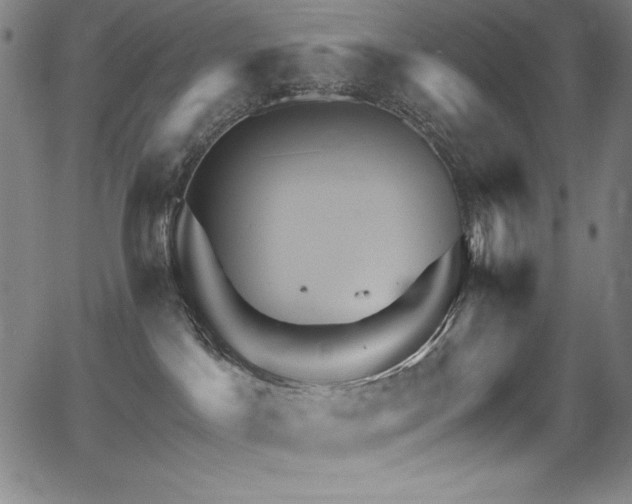 X0000068270045200604211121