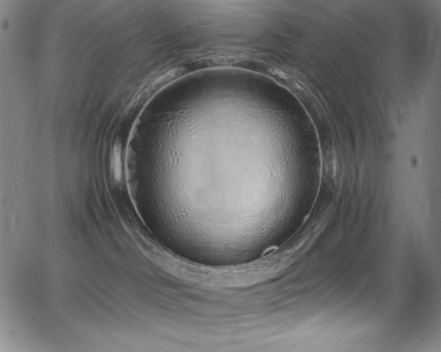 X0000068270046200604211121