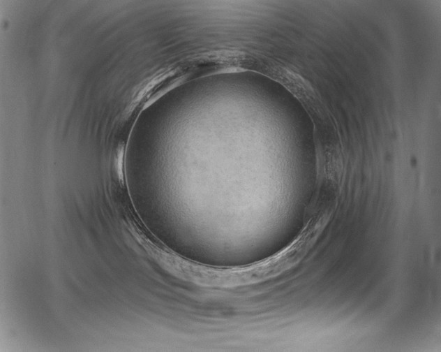 X0000068270047200604211121