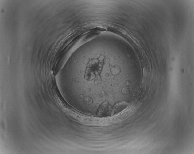 X0000068270048200604211121