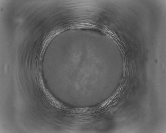 X0000068270049200604211120