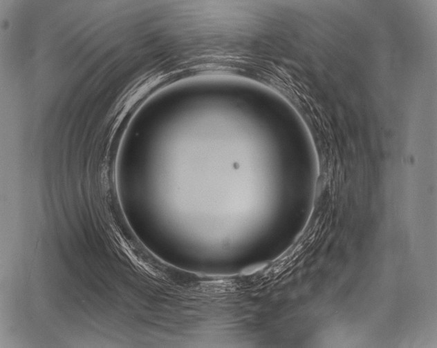 X0000068270050200604211120