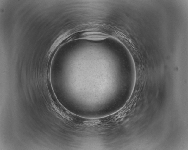 X0000068270051200604211120