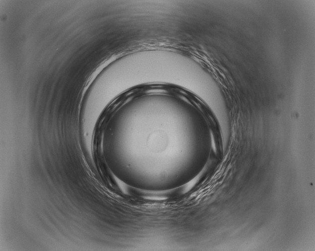 X0000068270052200604211120