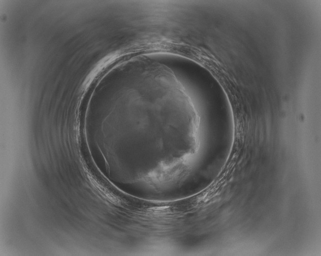 X0000068270054200604211121