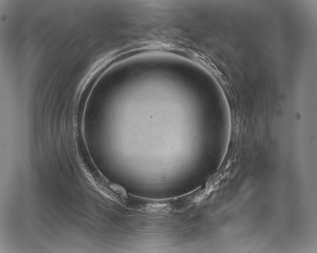 X0000068270055200604211121