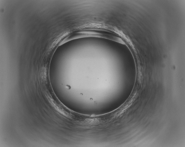 X0000068270057200604211121