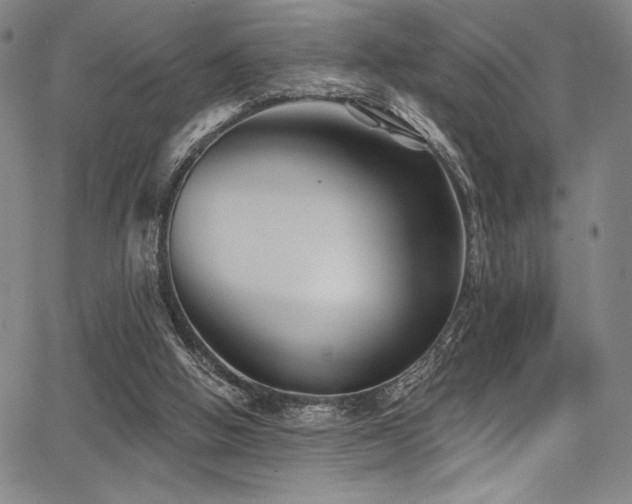 X0000068270058200604211121