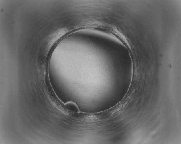 X0000068270059200604211121