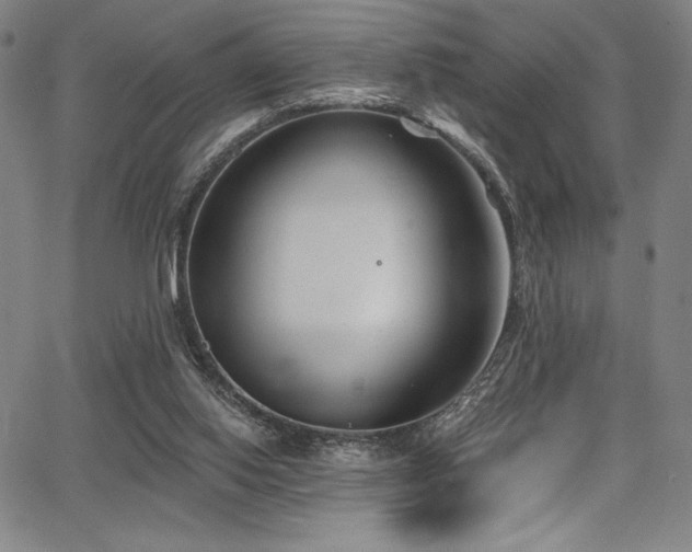 X0000068270062200604211121