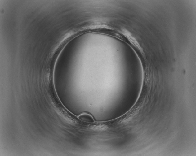 X0000068270063200604211121