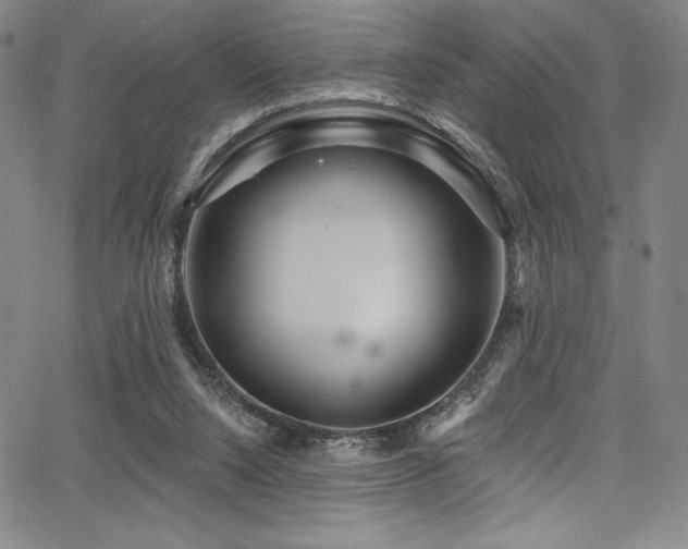 X0000068270064200604211121