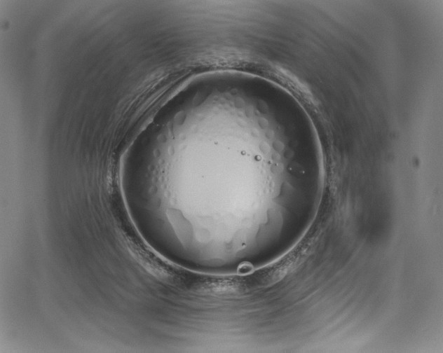 X0000068270065200604211121