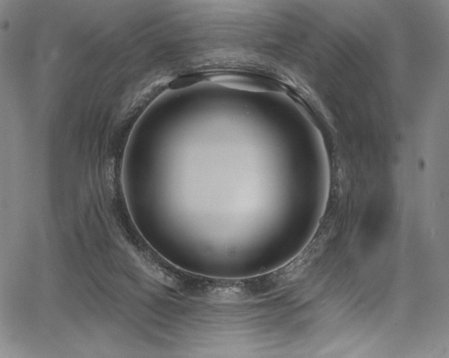 X0000068270066200604211121