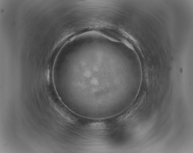 X0000068270067200604211121