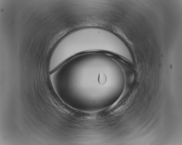 X0000068270068200604211121