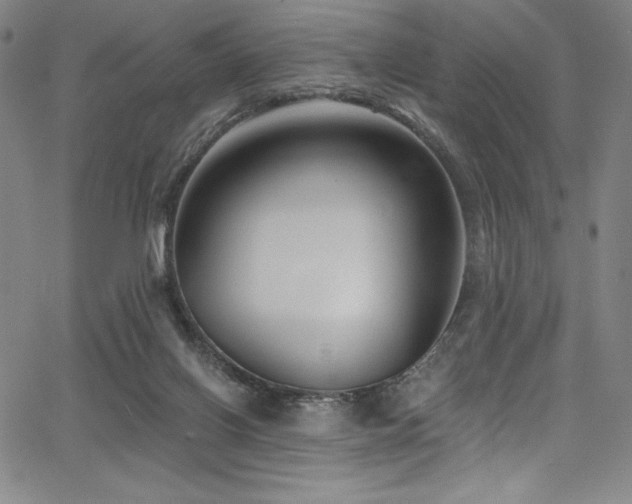 X0000068270070200604211121