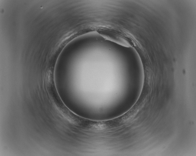 X0000068270071200604211121