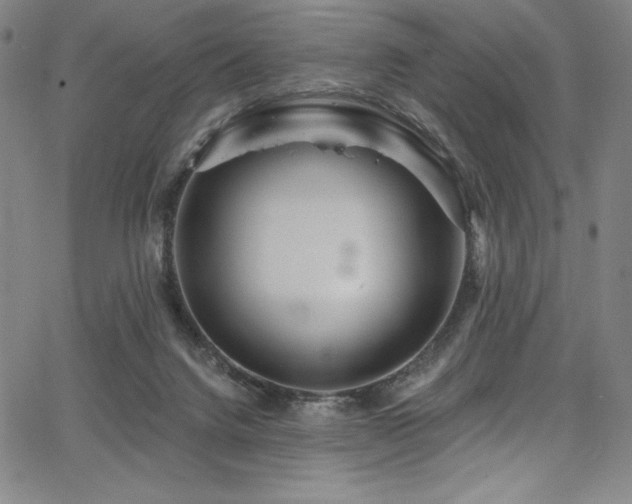 X0000068270072200604211121