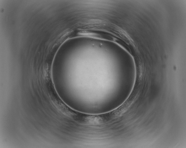 X0000068270073200604211121