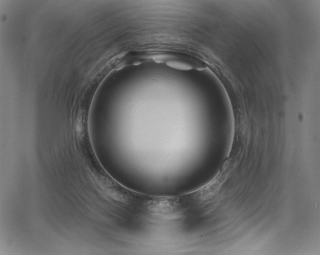 X0000068270074200604211121