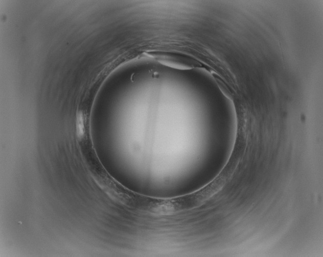 X0000068270075200604211121