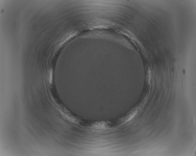 X0000068270076200604211121