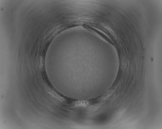 X0000068270077200604211121