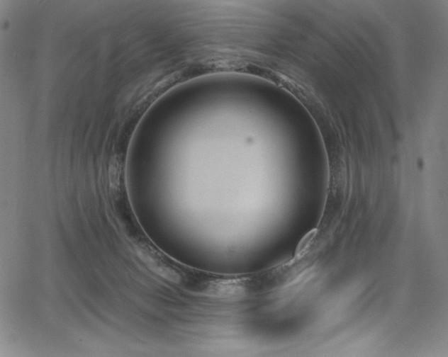 X0000068270078200604211121