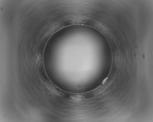 X0000068270079200604211121