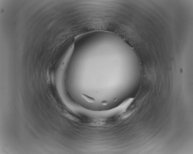 X0000068270080200604211121