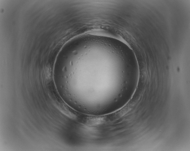 X0000068270081200604211121