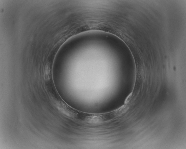 X0000068270082200604211121