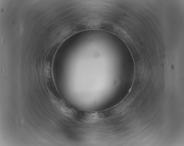 X0000068270083200604211121