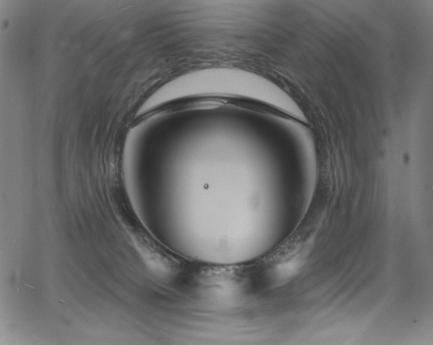 X0000068270084200604211121