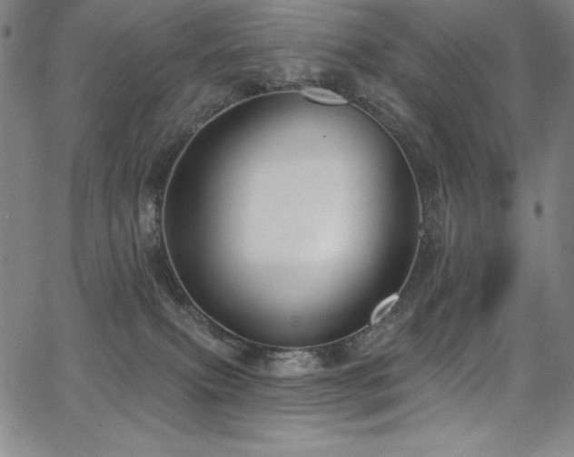 X0000068270087200604211121