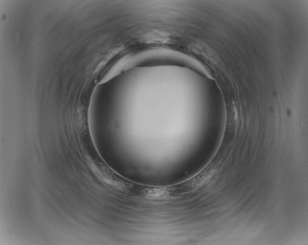 X0000068270088200604211121